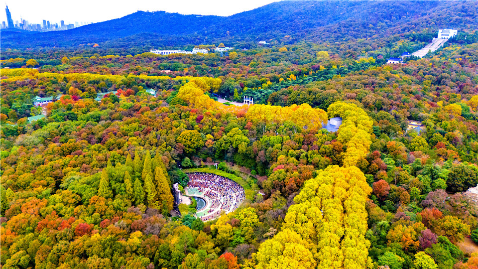 南京：初冬的钟山风景区美如仙境