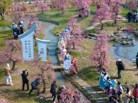 第八届花朝踏青节在无锡花星球景区启幕_fororder_图片 2