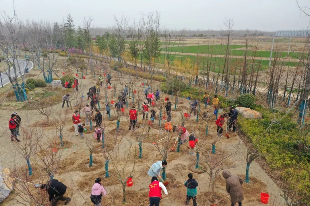 为家园添新绿 江苏各地开展形式多样植树活动