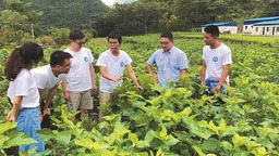 江苏：让“小院”助力乡村发挥更大作用