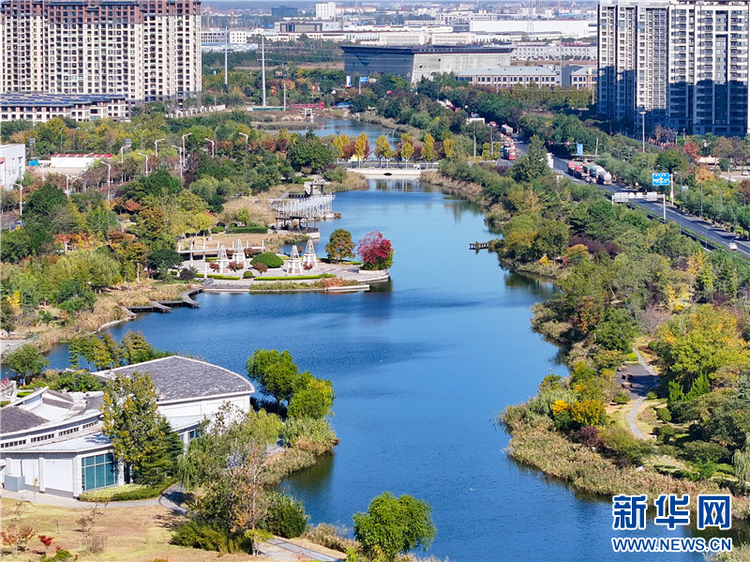 江苏连云港：湿地公园斑斓如画