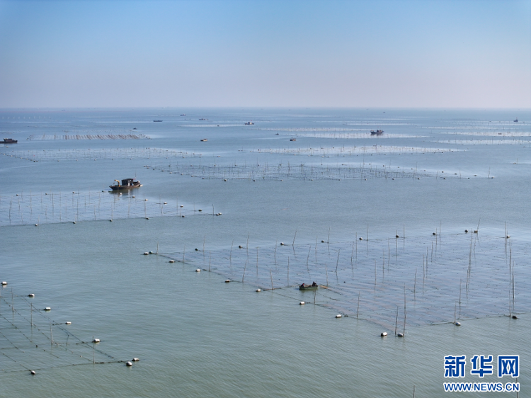 江苏连云港：“海上菜园”管护忙