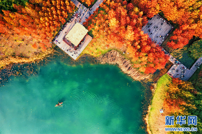 江苏苏州：来虎丘湿地看“水上焰火”