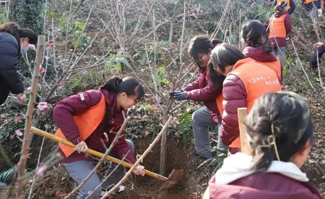 为家园添新绿 江苏各地开展形式多样植树活动