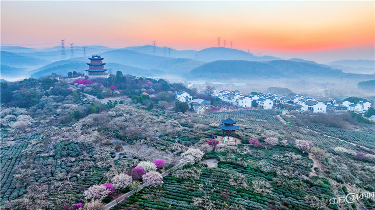 南京：美丽乡村 景美如画