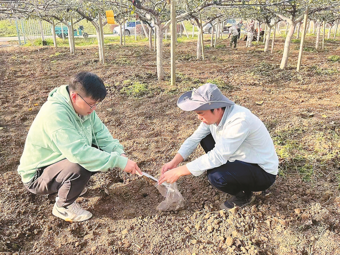 江苏：让“小院”助力乡村发挥更大作用