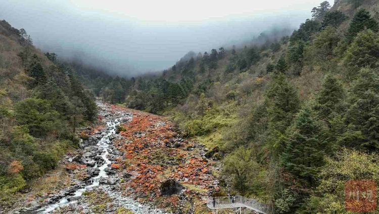 雅安天全：秋日喇叭河现雪景佛光奇观