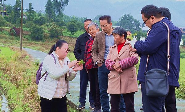 宜宾：专家“组团”进民族地区服务民生