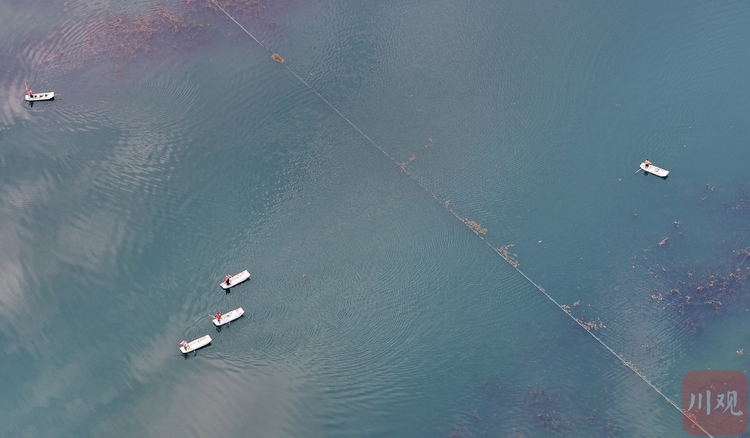 四川成都：怡心湖“美容师” 守护碧水清波成“风景”