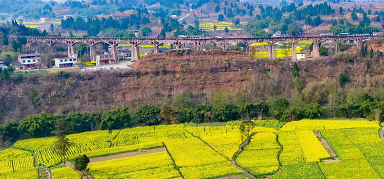 “润泽天府”行｜都江堰灌区黑龙滩水库书写新时代水利华章