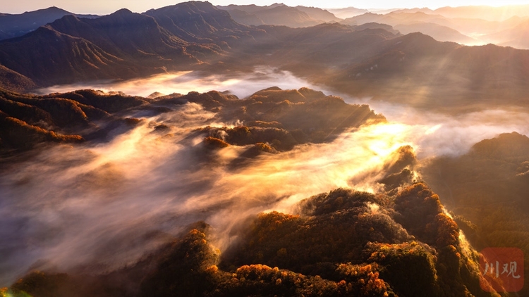 巴中光雾山：漫山红叶醉游人