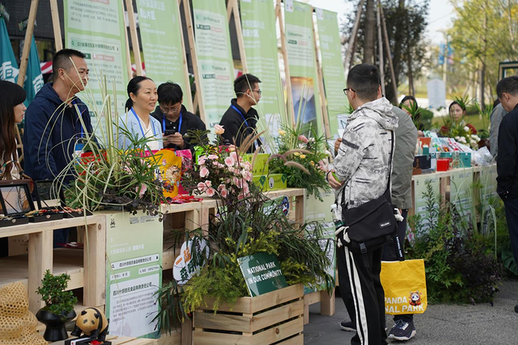 Chengdu Metropolitan Area Giant Panda National Park Eco-Product Promotion Activity Showcased at the Closing Ceremony of International Horticultural Exhibition 2024 Chengdu