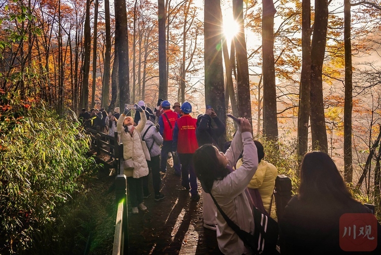 巴中光雾山：漫山红叶醉游人