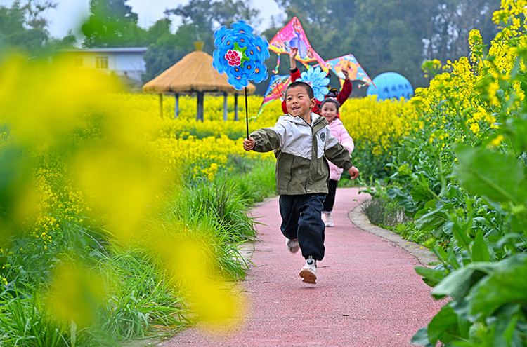 眉山仁寿：油菜花开春意浓_fororder_2025年3月9日，小朋友在四川省眉山市仁寿县青岗乡盘龙村的油菜花海中玩耍。图7