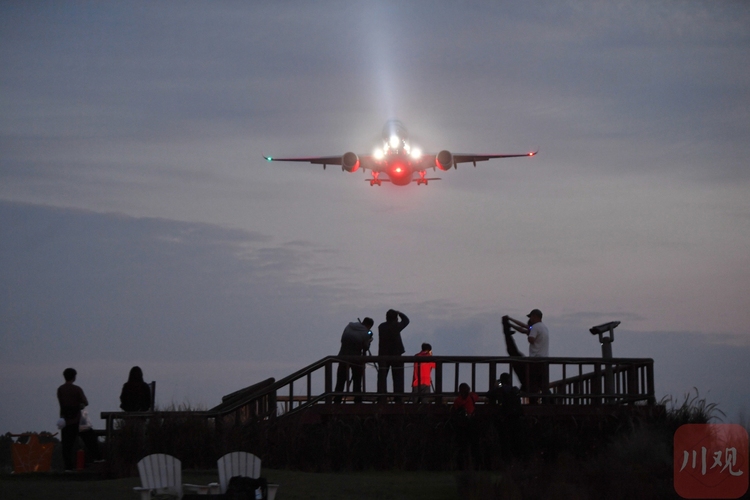 成都：打卡空港花田新玩法 藏不住的诗意浪漫