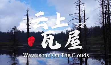 Amazing Sichuan｜Wawushan on the Clouds_fororder_微信截图_20241127155225