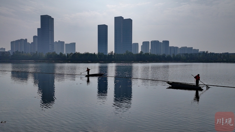 四川成都：怡心湖“美容师” 守护碧水清波成“风景”