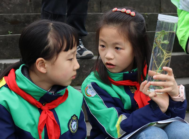 图片默认标题_fororder_小学生们针对标本瓶展开交流-摄影-唐海琳