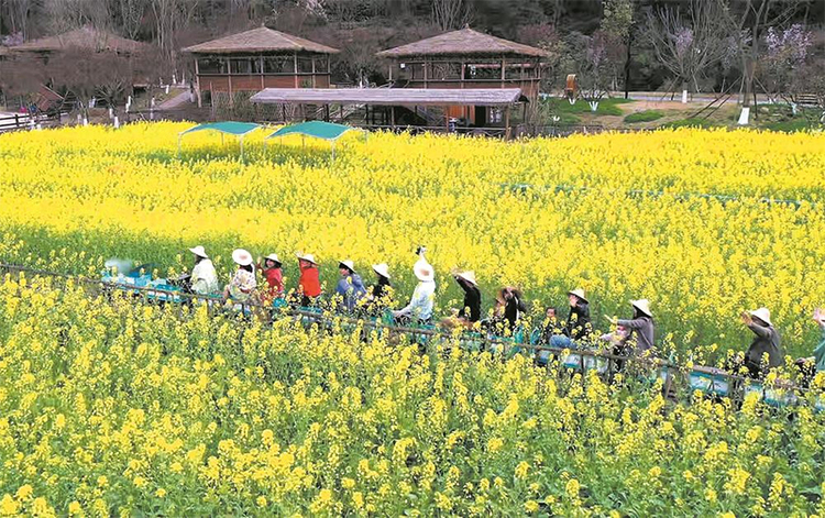 （转载）不负好春光 成都春季文旅地图活动线路全攻略上新_fororder_未标题-1