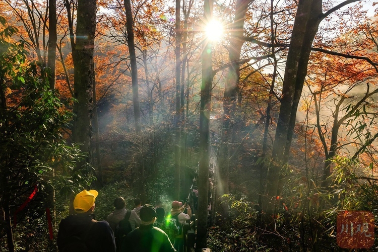 巴中光雾山：漫山红叶醉游人