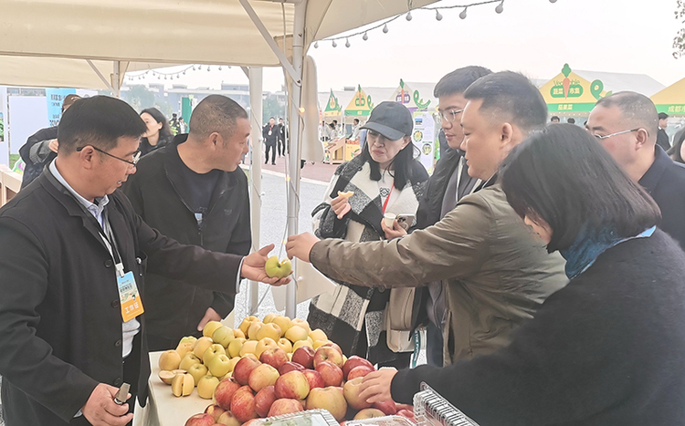 第十三届中国·四川（彭州）蔬菜博览会开幕