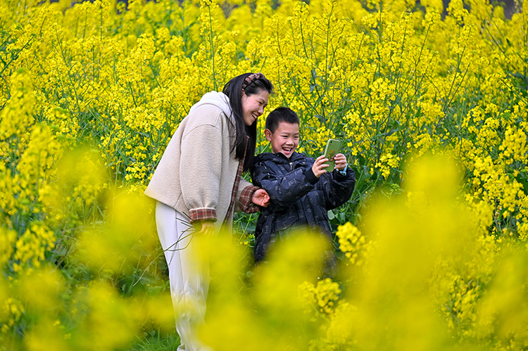 眉山仁寿：油菜花开春意浓_fororder_2025年3月9日，游客在四川省眉山市仁寿县青岗乡盘龙村的油菜花海中游玩拍照。-图8