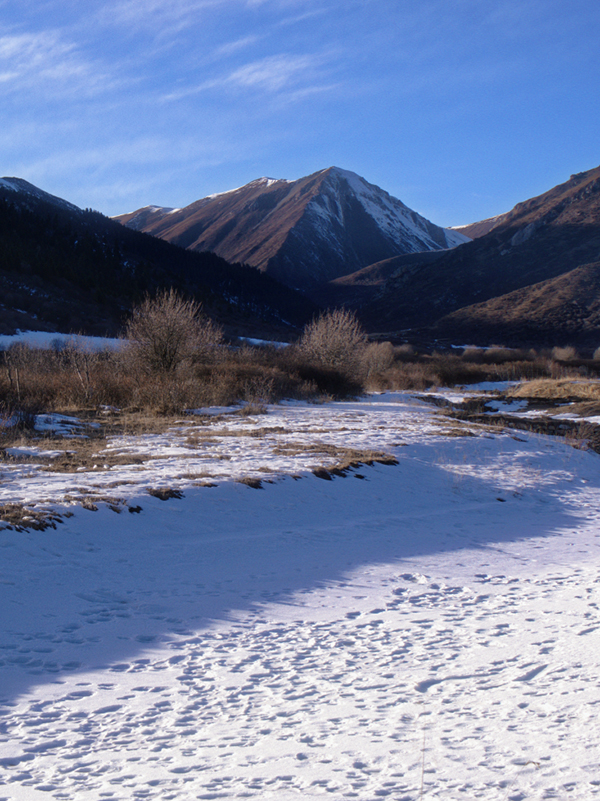 “源头活水来”摄影师都江堰水源地采风行活动在松潘县岷江源启动