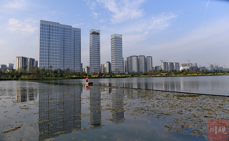 四川成都：怡心湖“美容师” 守护碧水清波成“风景”