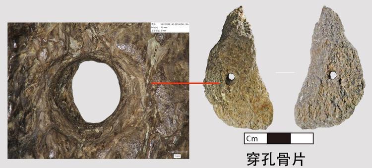 全国十大考古新发现初评名单揭晓 四川省资阳市濛溪河遗址群为何入选？